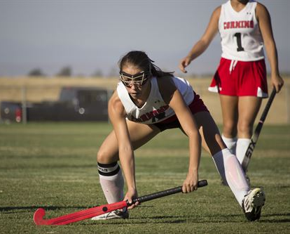 Hockey Player